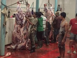 Satgas Bareskrim Selidiki Kenaikan Tinggi Harga Daging