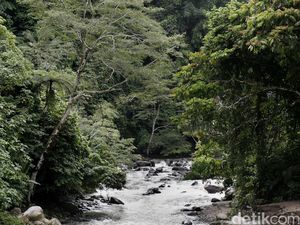 Dongeng Joko Bodo, Cerita Rakyat dari Jawa Tengah Dongeng Joko Bodo, Cerita Rakyat dari Jawa Tengah