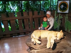 Tips Berfoto Aman dengan Satwa Liar