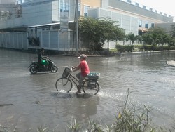 Banjir Rob di Muara Baru Mulai Surut, Warga Berharap Dagangan Laku Kembali