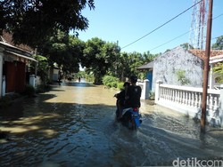 Banjir Landa 4 Desa di Kecamatan Muncar Banyuwangi, Jalan dan Sawah Tergenang
