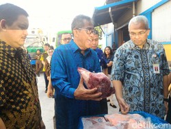 Meski Telat Impor, Bulog Yakin Harga Daging Bisa Rp 80.000/Kg