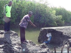 Banjir Rob Menerjang Lima Desa, Puluhan Hektar Tambak dan Rumah Terendam