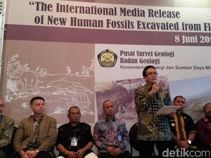 Fosil Manusia Purba di Ngada Lebih Kecil dari Hobbit Liang Bua: Tingginya 1 Meter