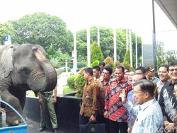 JK: Lingkungan Rusak Menyebabkan Kemiskinan di Indonesia