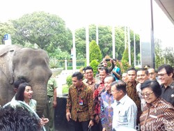 JK Ingatkan Perusakan Lingkungan Bakal Dapat Hukuman