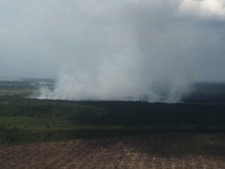 Singapura Ingin Tangkap WNI Penyebab Kabut Asap, Ketua MPR: Itu Urusan Kita