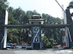 Ada Lowongan Kerja di Objek Wisata Tahura Nih! Cek Infonya di Sini