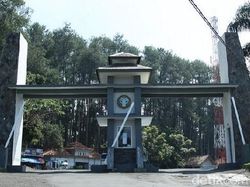 Ada Lowongan Kerja di Objek Wisata Tahura Nih! Cek Infonya di Sini Ada Lowongan Kerja di Objek Wisata Tahura Nih! Cek Infonya di Sini
