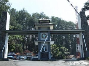 Ada Lowongan Kerja di Objek Wisata Tahura Nih! Cek Infonya di Sini Ada Lowongan Kerja di Objek Wisata Tahura Nih! Cek Infonya di Sini