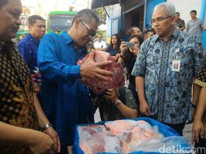 Apakah Impor Daging Beku dari Australia Masih Berjalan? Ini Kata Bulog
