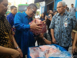 Apakah Impor Daging Beku dari Australia Masih Berjalan? Ini Kata Bulog