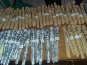 Bawa Jeriken Berisi 4,8 Kg Ganja, Ibu di Mataram Ditangkap Polisi