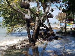 Hasil Pantauan BPBD Bali Terkait Terjangan Air Laut ke Jalan dan Hotel di Sanur