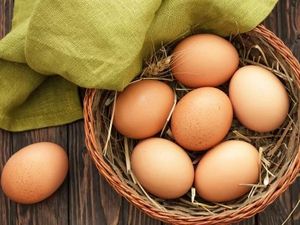Ini 7 Tips Simpan Telur Agar Kesegarannya Tahan Lebih Lama Ini 7 Tips Simpan Telur Agar Kesegarannya Tahan Lebih Lama