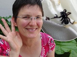 Telinga Wanita Ini Nyeri Pasca Berenang, Ternyata Ada Laba-laba di Dalamnya