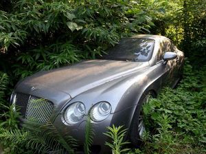 Mobil-mobil Mewah Ini Ditinggalkan Bertahun-tahun di Taman