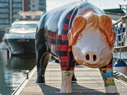 Ada Patung Babi Mirip Ed Sheeran di Ipswich!