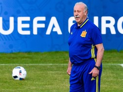 Del Bosque Diharapkan Terus Latih Spanyol