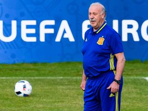 Del Bosque Diharapkan Terus Latih Spanyol Del Bosque Diharapkan Terus Latih Spanyol