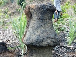 Disparbud Sukabumi Sebut Batu Aneh Temuan Warga Unik, Cek Lokasi Senin Lusa