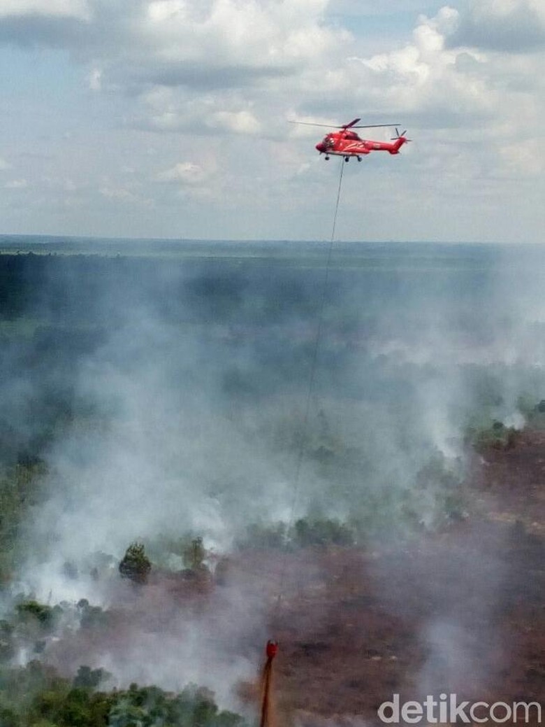 Pemprov Riau akan Tetapkan Siaga Darurat Karhutla