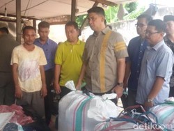 Polisi dan Wali Kota Jambi Gerebek Gudang Daging Babi 4 Ton