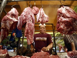 Harga Daging Masih Rp 120.000/Kg, Darmin: Harus Ada Solusi Permanen