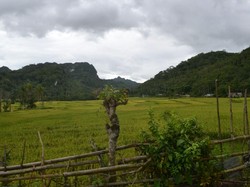 Melihat Temuan Bersejarah di Gua-gua di Bone: Lukisan Hingga Alat dari Tulang
