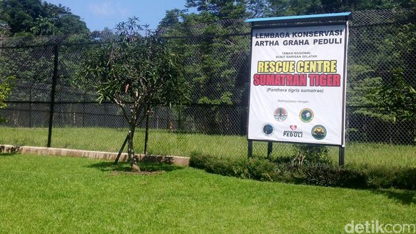 Berkeliling di Kawasan Konservasi Tambling Lampung