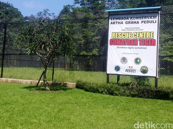 Berkeliling di Kawasan Konservasi Tambling Lampung