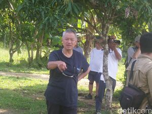 Alasan Tomy Winata Jual Daging Sapi Beku Rp 75.000/Kg