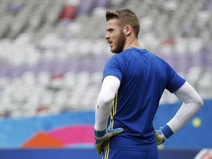 Del Bosque Belum Jamin De Gea Jadi Starter