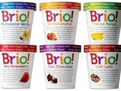 Tak Perlu Makan, Cukup Makan Es Krim Kaya Nutrisi Ini