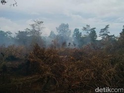 Patroli Terpadu, Kementerian LHK Temukan 35 Titik Api Selama Libur Lebaran