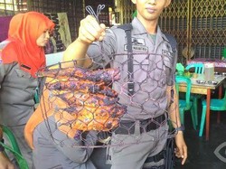 Mendagri: Berlebihan Satpol PP Kota Padang Razia Ikan Bakar untuk Bukti