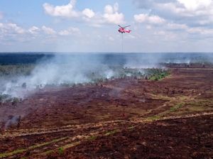 Superpuma Padamkan Kebakaran Hutan di Riau