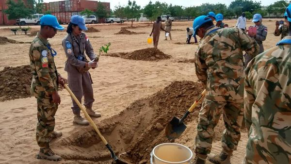 Prajurit TNI Hijaukan Lahan Tandus di Darfur Barat