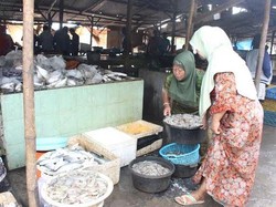 Nelayan Tak Melaut, Harga Ikan Laut Ikut Naik