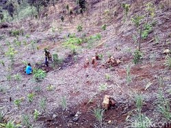 Batu Aneh di Geopark Ciletuh Sukabumi, Bekas Candi atau Peninggalan Era Islam?