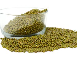 Mitos atau Fakta: Makan Kacang Hijau Saat Hamil Lebatkan Rambut Bayi