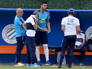 Pelle Fit untuk Laga Melawan Swedia