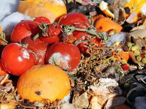 Pemkab Bogor: Rata-rata Jumlah Food Waste 1 Orang Capai 77 Kg Per Tahun