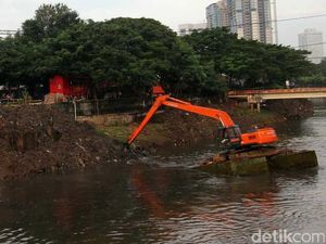 Darmin: Baru 50% Tanah di RI yang Bersertifikat