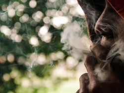 Hidup Sehat dengan Ganja, Benarkah?