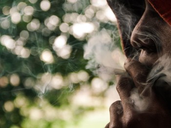 Hidup Sehat dengan Ganja, Benarkah?