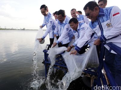 500 Ribu Bibit Ikan Dilepas ke Situ Cipondoh