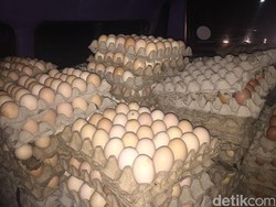 Ribuan Telur Busuk Siap Edar Disita Polisi di Bogor