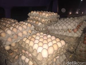 Ribuan Telur Busuk Siap Edar Disita Polisi di Bogor Ribuan Telur Busuk Siap Edar Disita Polisi di Bogor