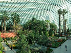 Singapura Punya Taman dengan Tumbuhan dari Seluruh Dunia